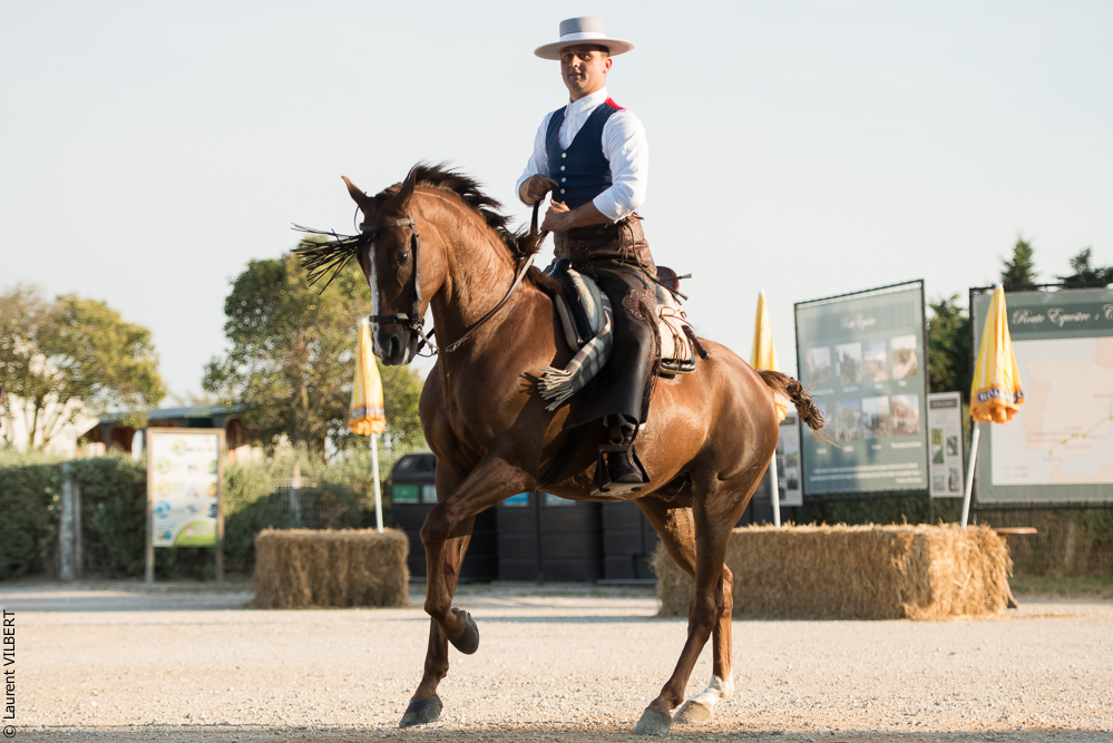 Méjanes 20170721-450