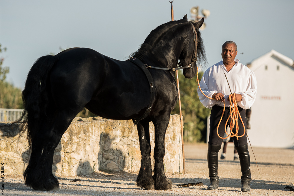Méjanes 20170721-459