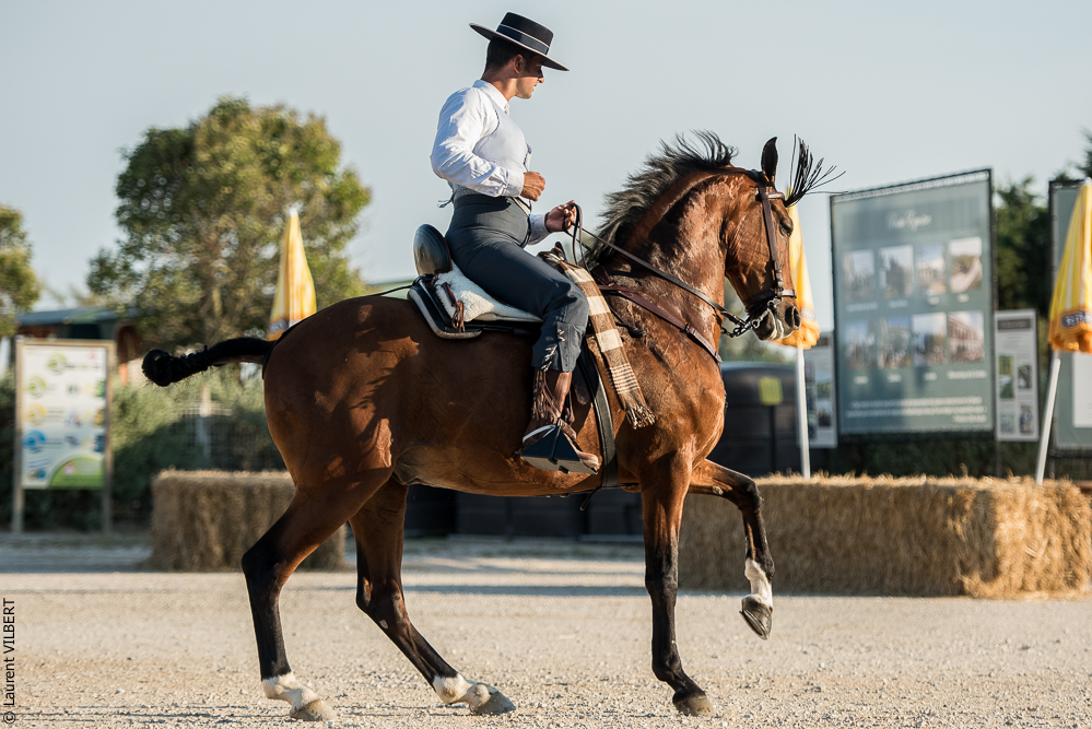 Méjanes 20170721-461