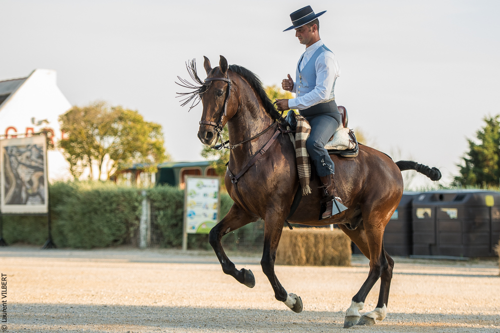 Méjanes 20170721-474