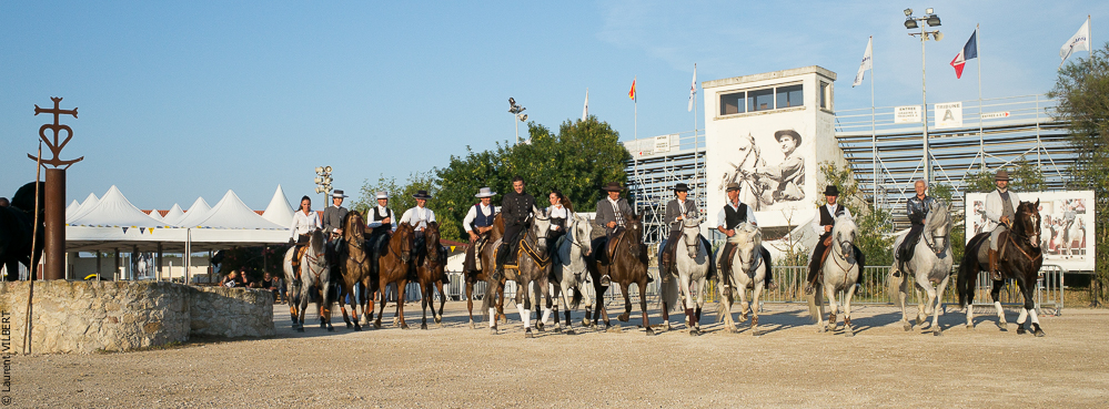 Méjanes 20170721-507