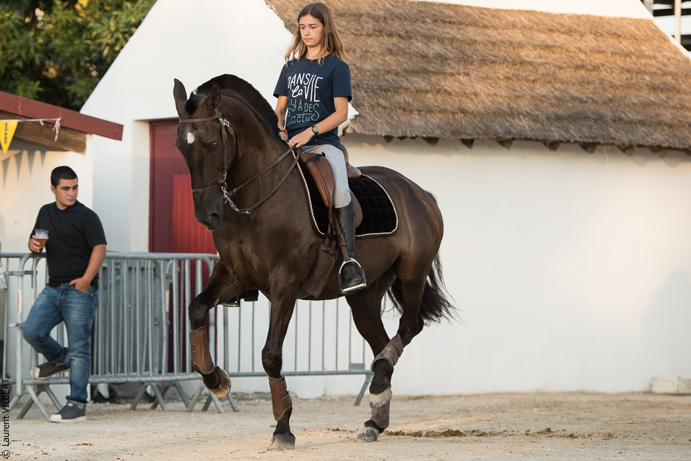 Méjanes 20170721-799