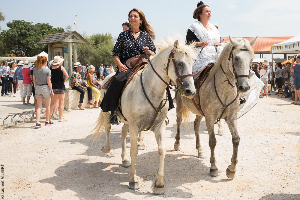 Mejanes 20170722-0021