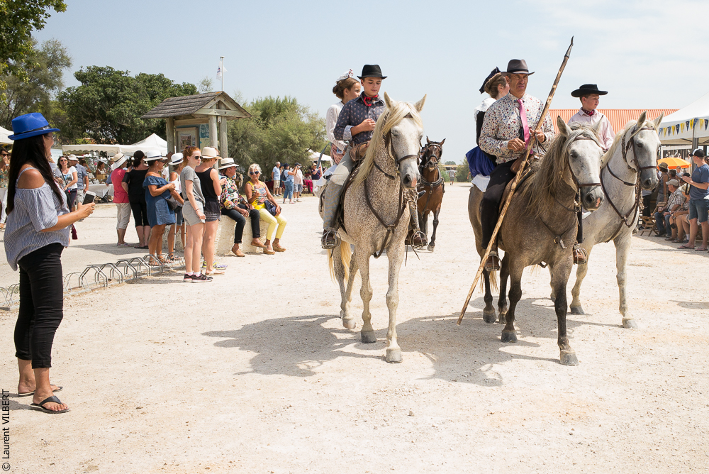 Mejanes 20170722-0025