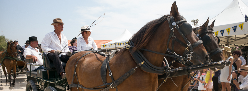 Mejanes 20170722-0029