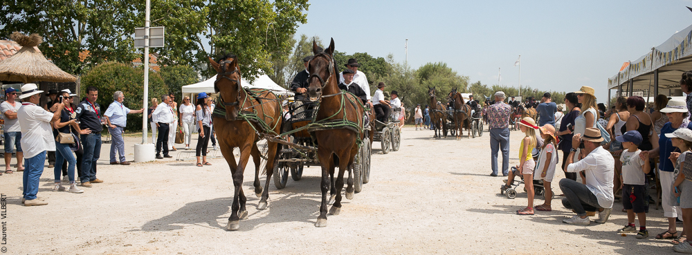 Mejanes 20170722-0031