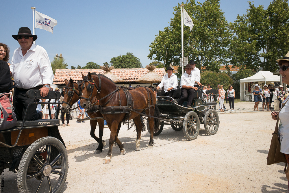 Mejanes 20170722-0037