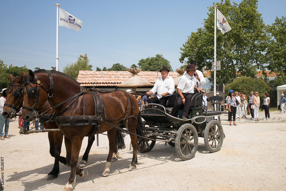 Mejanes 20170722-0038