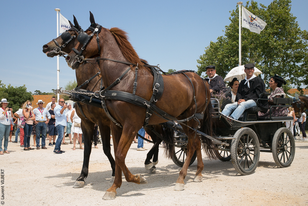 Mejanes 20170722-0041