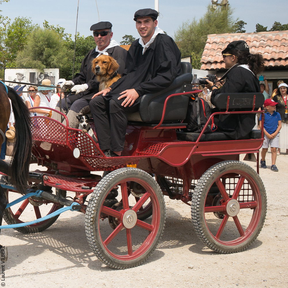 Mejanes 20170722-0046