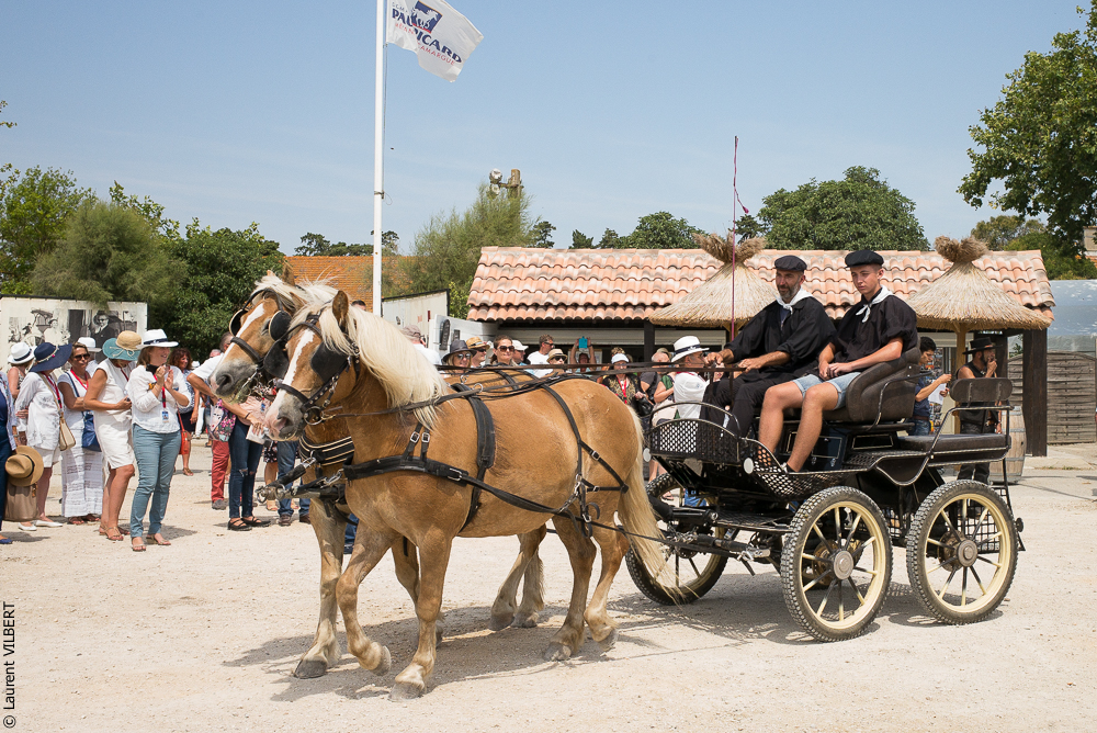 Mejanes 20170722-0051
