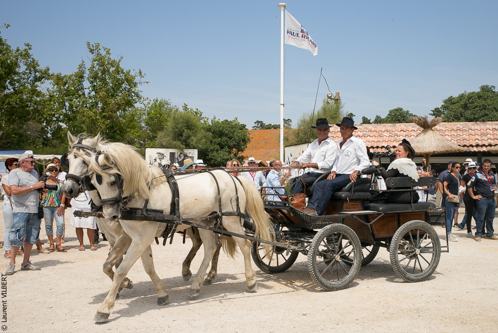 Mejanes 20170722-0054