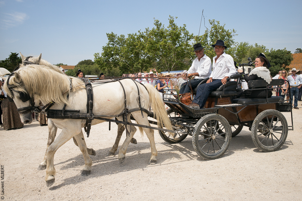 Mejanes 20170722-0057