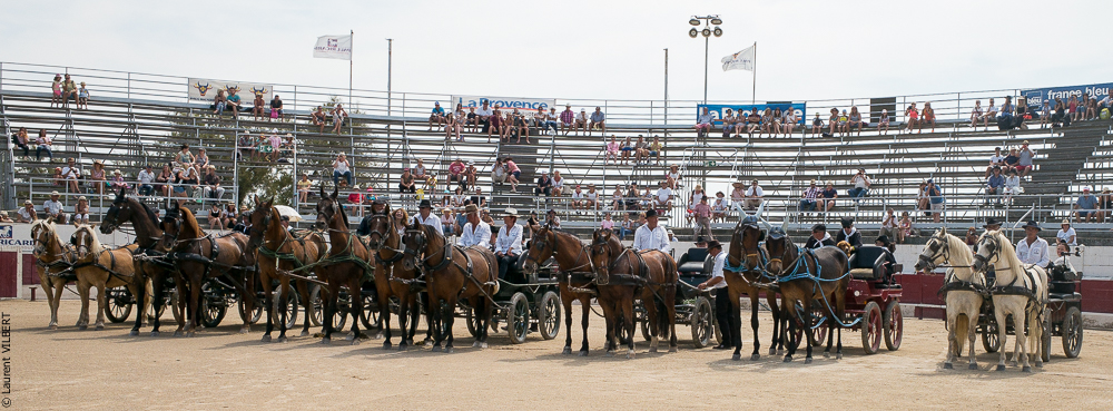 Mejanes 20170722-0062