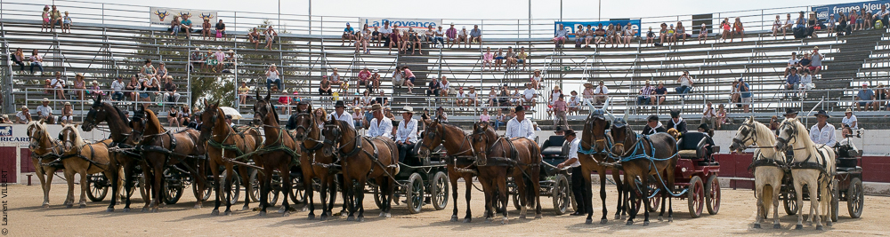 Mejanes 20170722-0062