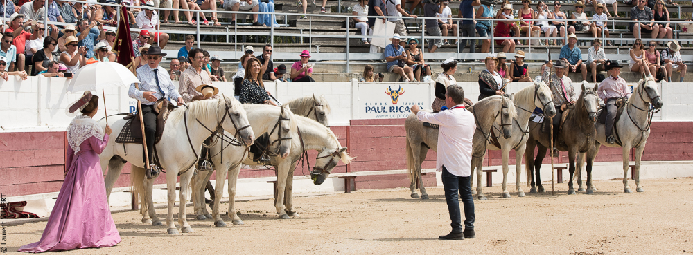 Mejanes 20170722-0072