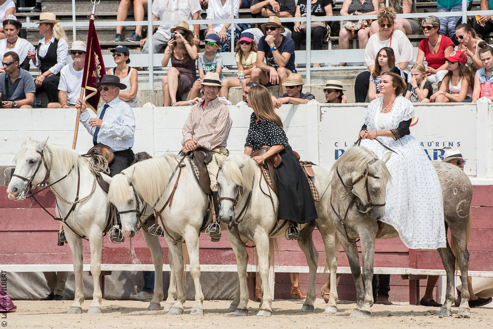 Mejanes 20170722-0080