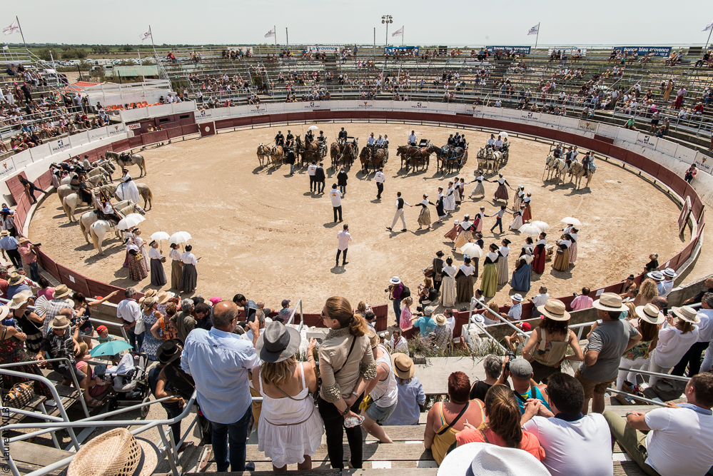 Mejanes 20170722-0170