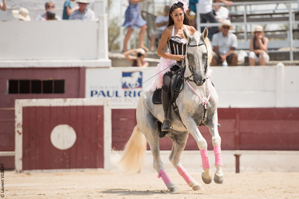 Mejanes 20170722-0230