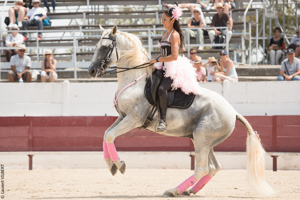 Mejanes 20170722-0244