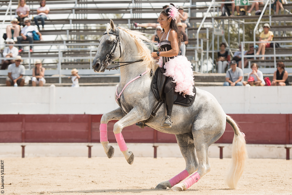 Mejanes 20170722-0253