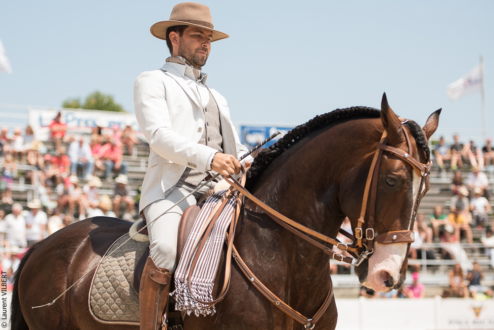 Mejanes 20170722-0285