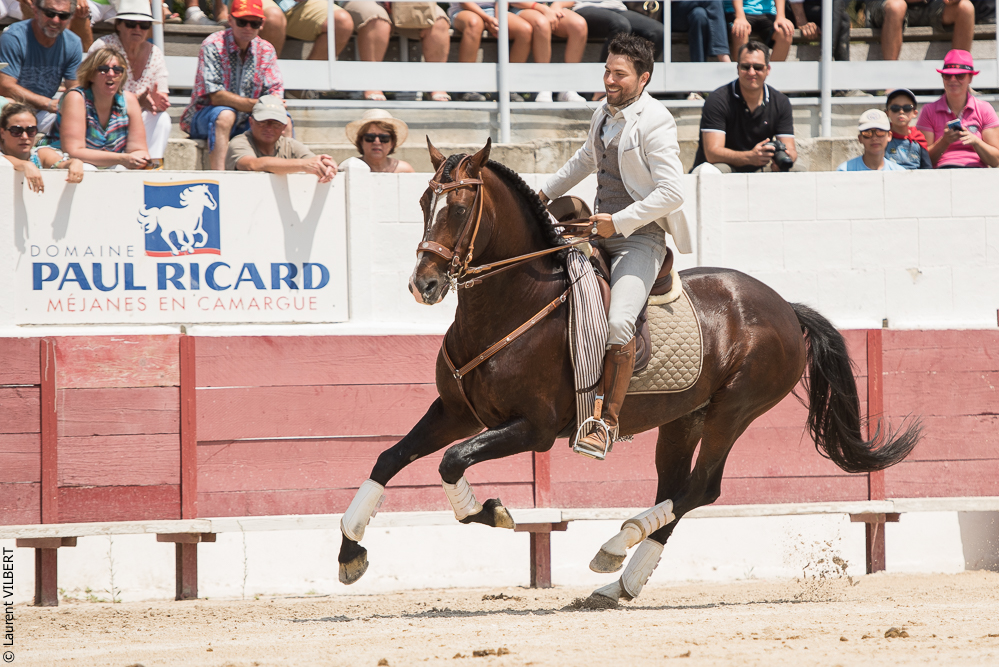 Mejanes 20170722-0322