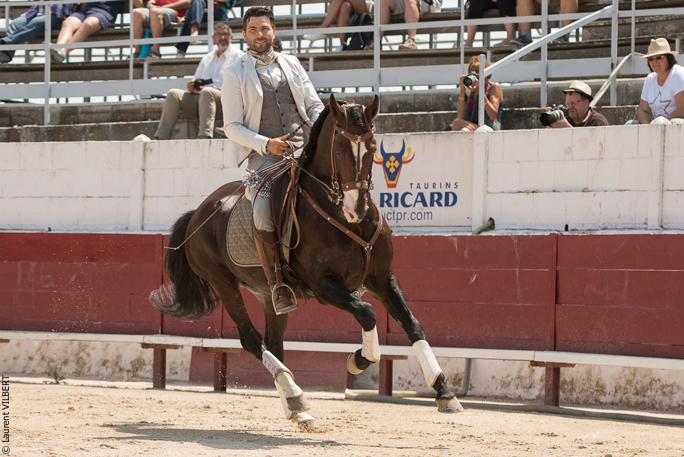 Mejanes 20170722-0338