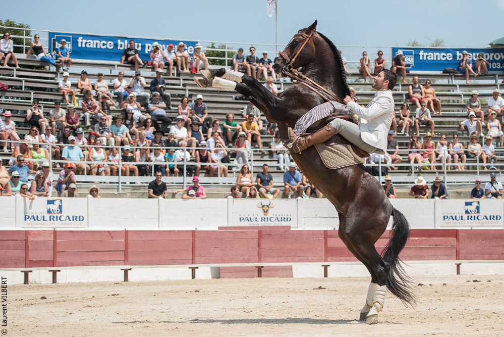 Mejanes 20170722-0362