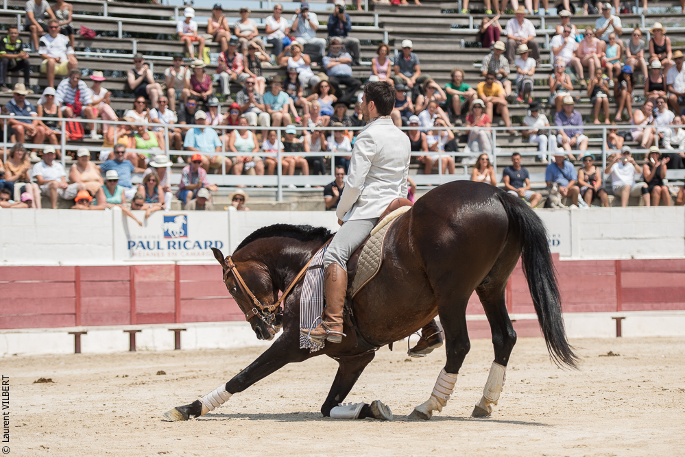 Mejanes 20170722-0366