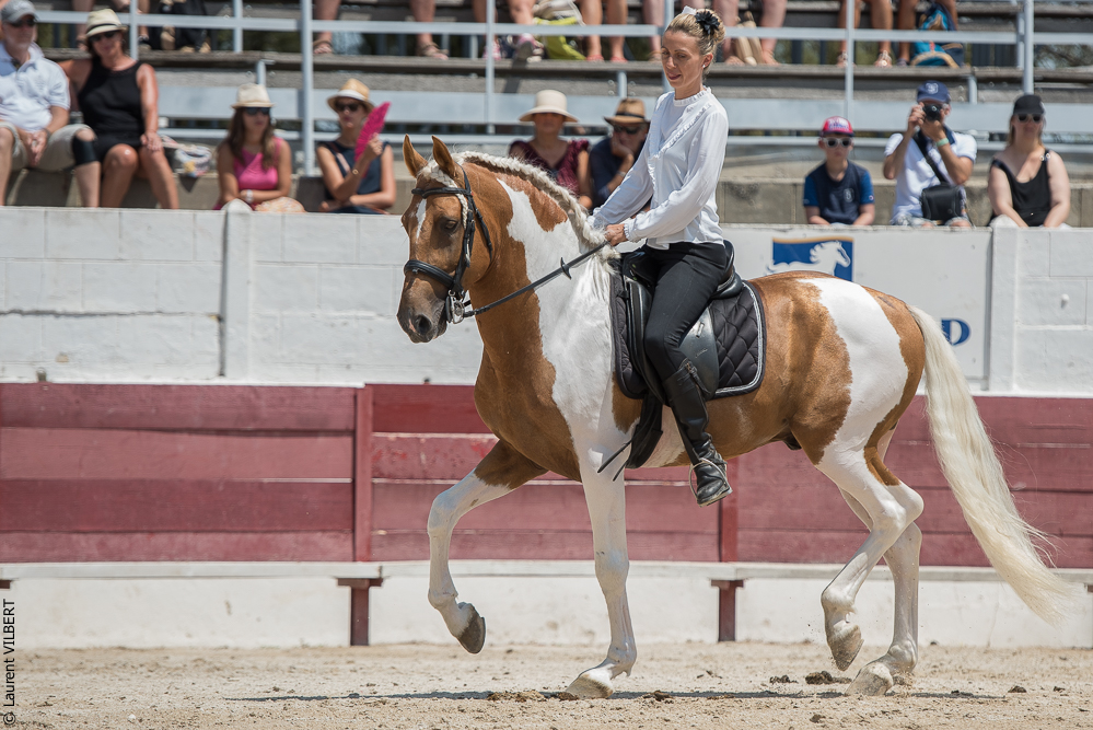 Mejanes 20170722-0417