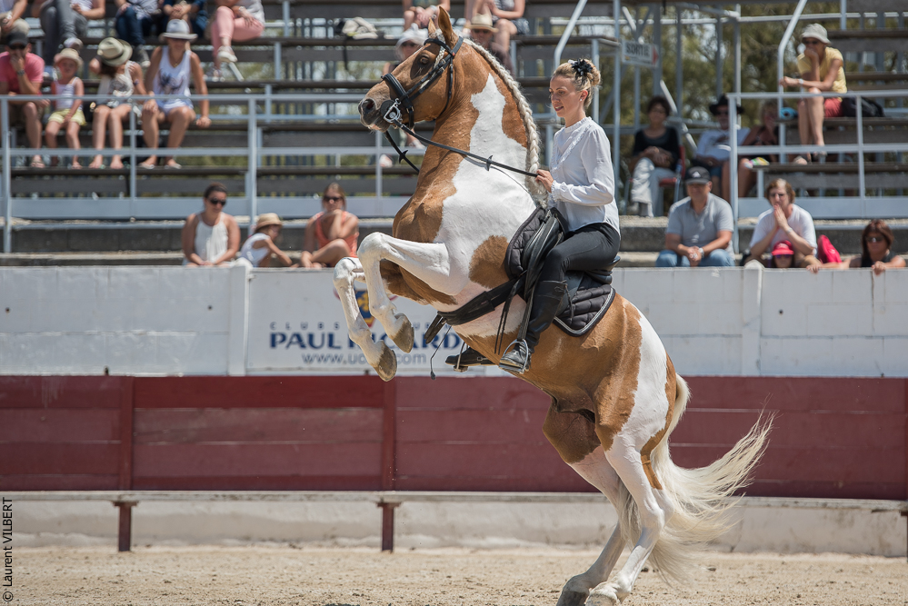 Mejanes 20170722-0421