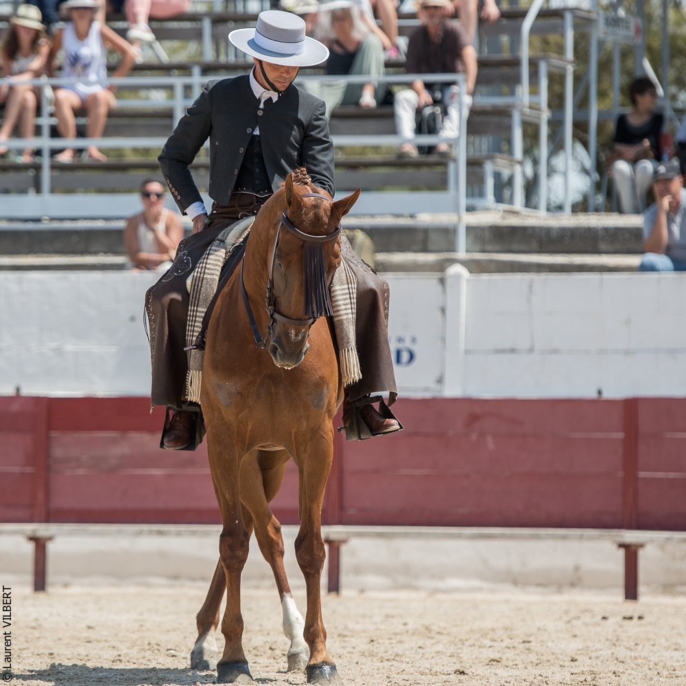 Mejanes 20170722-0447