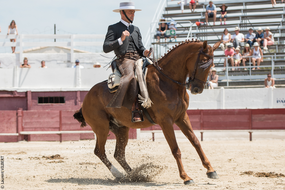 Mejanes 20170722-0476