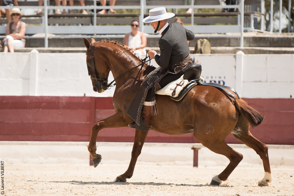 Mejanes 20170722-0486