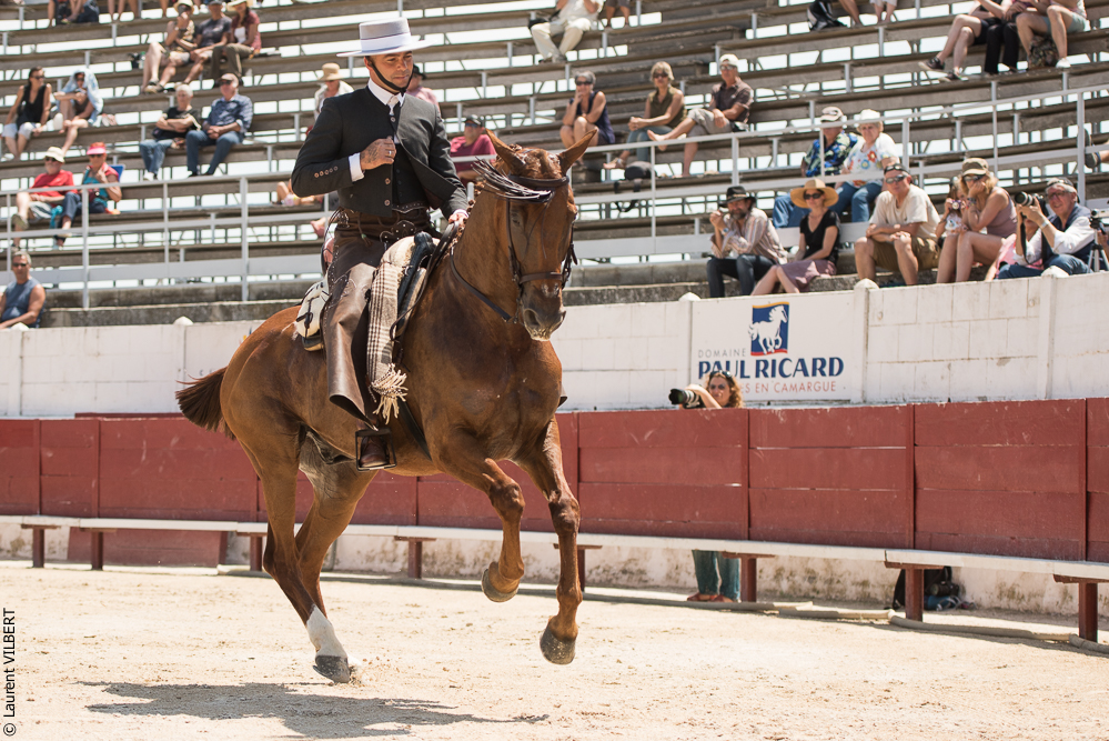 Mejanes 20170722-0497
