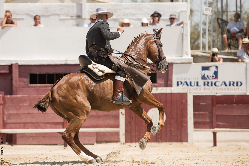 Mejanes 20170722-0513