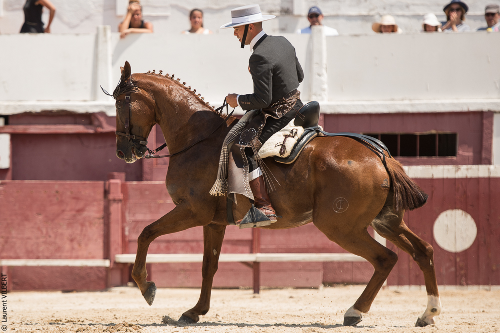 Mejanes 20170722-0515