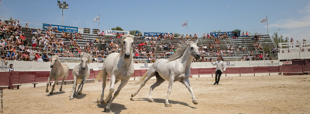 Mejanes 20170722-0564