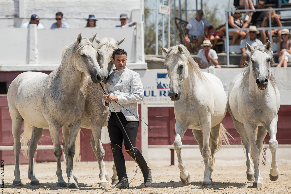 Mejanes 20170722-0606