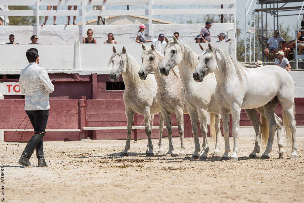 Mejanes 20170722-0612