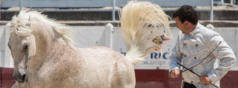 Mejanes 20170722-0625