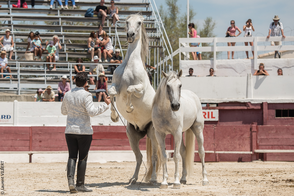 Mejanes 20170722-0673