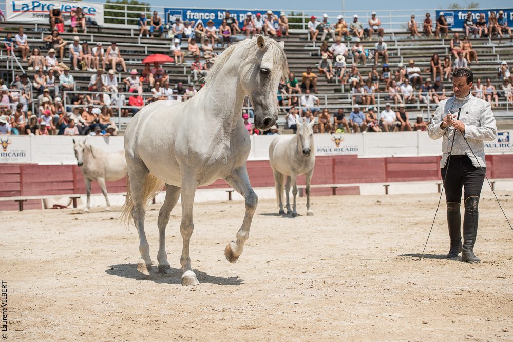 Mejanes 20170722-0681