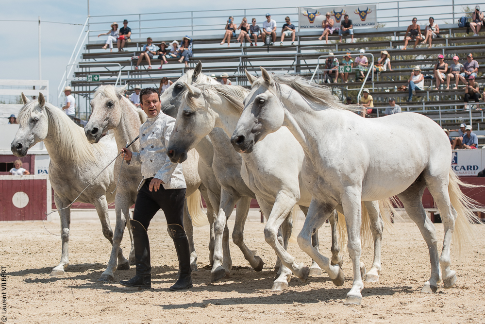 Mejanes 20170722-0729