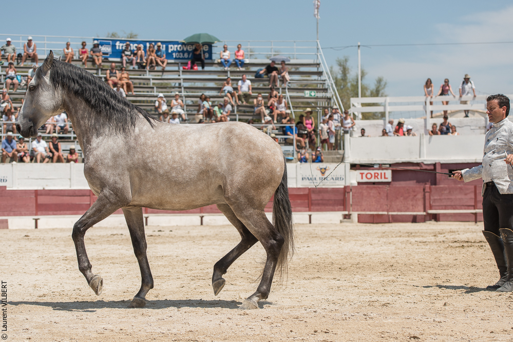 Mejanes 20170722-0774