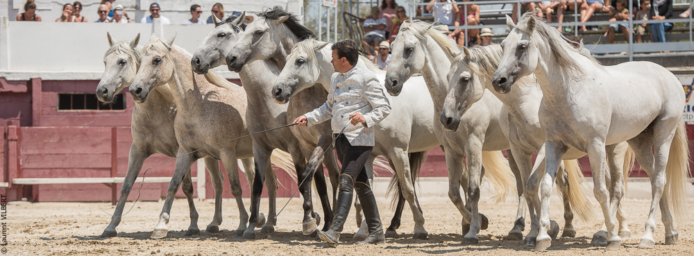 Mejanes 20170722-0845