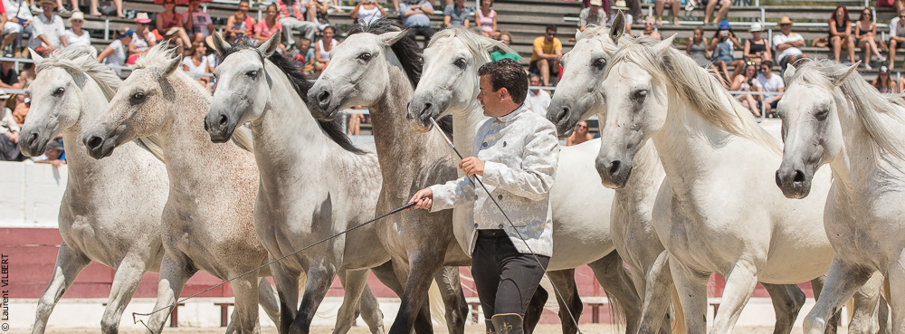 Mejanes 20170722-0855