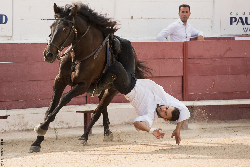 Mejanes 20170722-1152