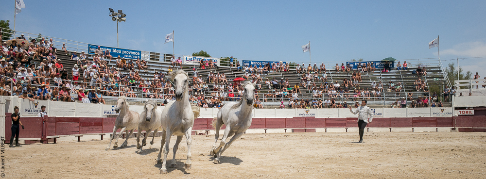 Mejanes 20170722-0563